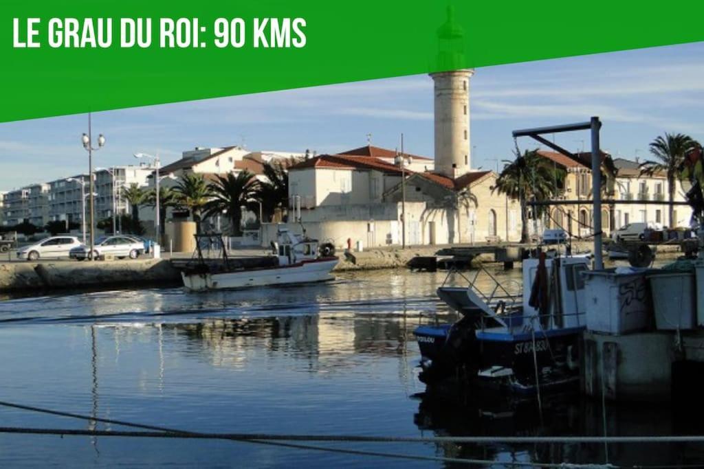 Le Loft Des Papes - 2 Terrasses - Vue Panoramique Sur La Ville - Ac Clim Αβινιόν Εξωτερικό φωτογραφία